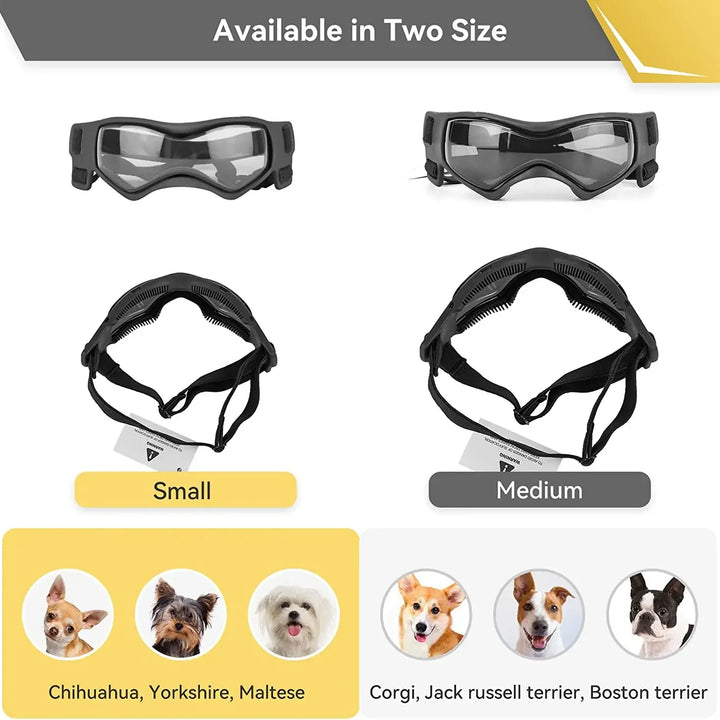 "Puppy Shades: Dog Goggles! 🐾🕶️"