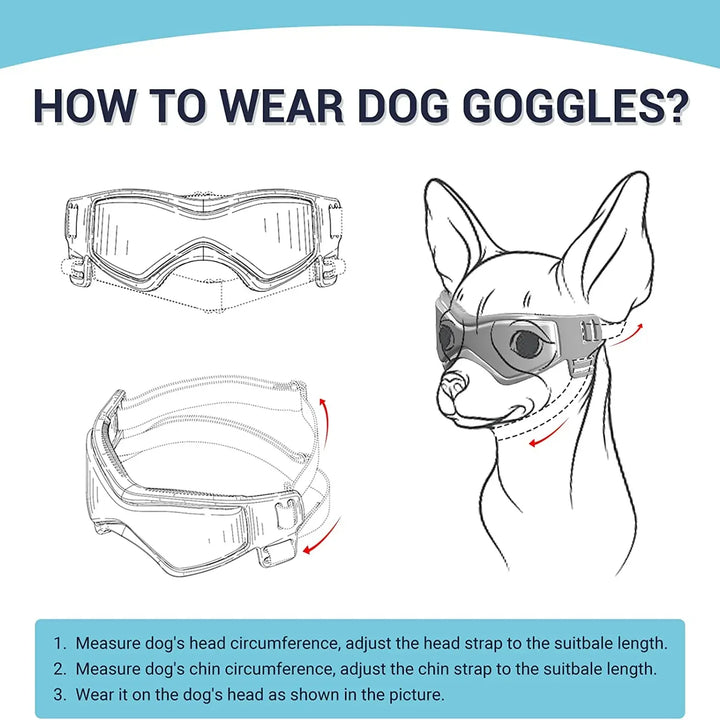 "Puppy Shades: Dog Goggles! 🐾🕶️"